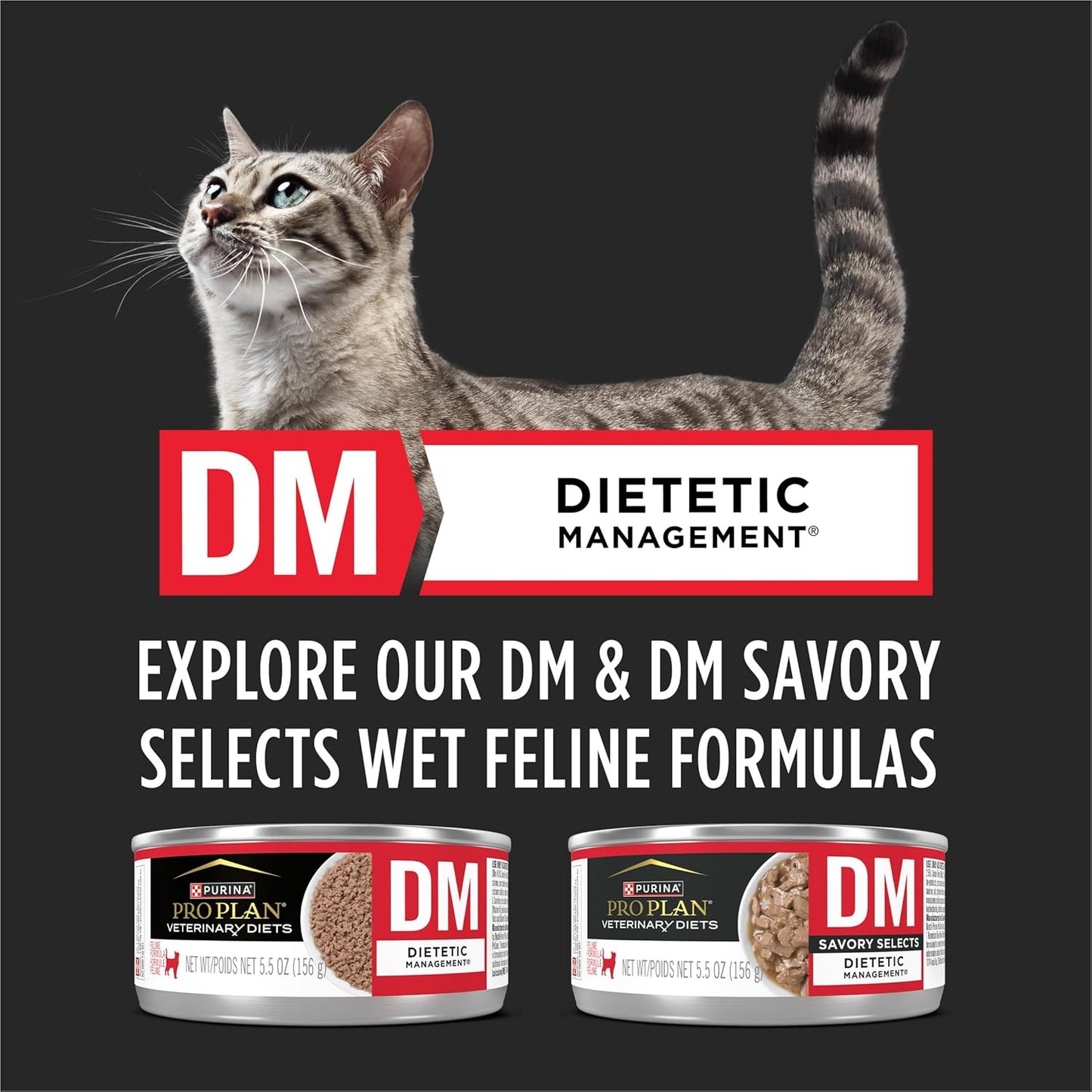 Purina DM Dietetic Management Feline Formula Dry Cat Food - 10 Lb. Bag