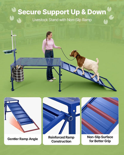 Goat Milking Stand, 600 Lbs Heavy Duty Foldable Goat Stand with Ramp, Feed Bin & Wheels, Adjustable Headpiece & Basket, Stanchion for Grooming & Hoof Trimming, Metal Livestock Platform for Sheep