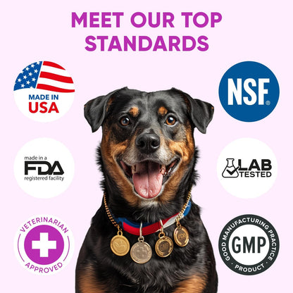Dog Allergy Relief Chews for Itchy Skin - Seasonal and Food Allergy Chews for Shedding, Licking Paws, Hot Spot, Ears - USA Product - Omega 3 Fish Oil Skin & Coat Supplement - anti Itch Immune Treats