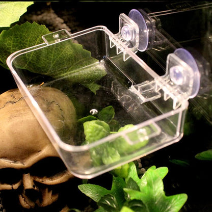 Reptile Suction Cup Feeder 2 Pack, Anti-Escape Food Bowl | for Gecko Lizard Iguana Chameleon Spider Frog Snake, Wall Mount Strong Suction Feeding Dish (White, S)