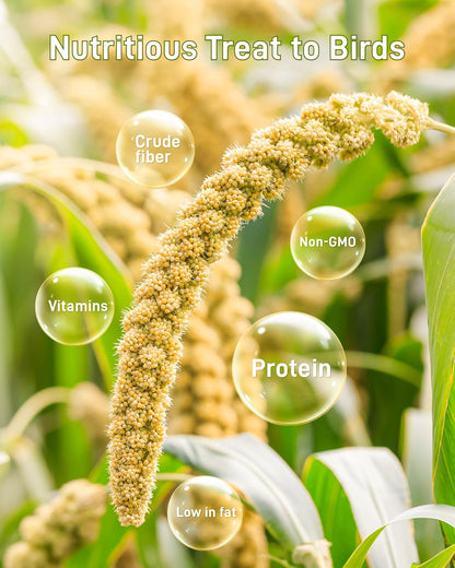 3.3Lbs Millet for Birds, Sun-Dried Parakeet Food for Parrot, Budgie, Cockatiel, Finches, Lovebird, Gmo-Free Parakeet Treats (3 Pack)