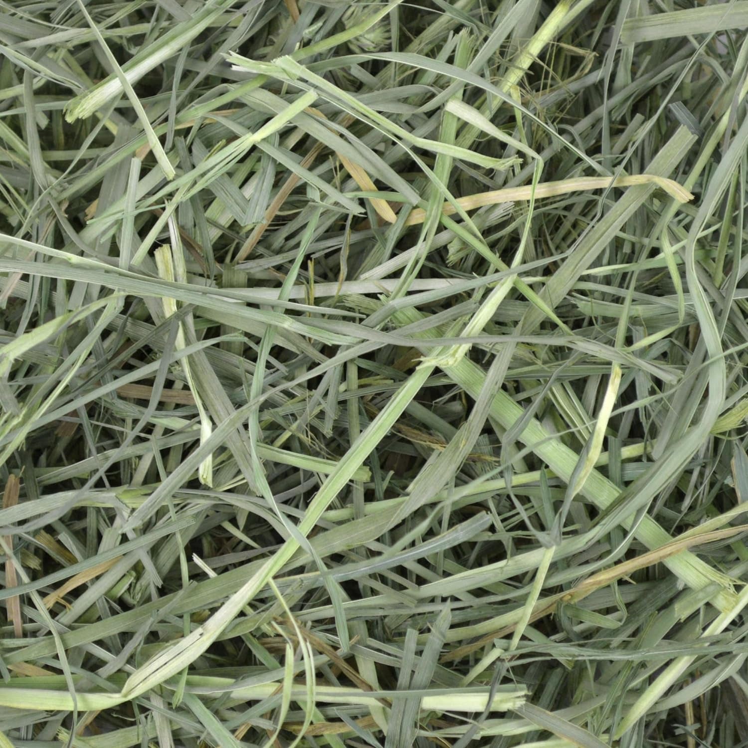 Orchard Hay, Rabbit & Guinea Pig Hay, Hand-Sorted, De-Dusted, 40 Oz | Hand-Sorted, De-Dusted,  Orchard Grass Hay, Bunny Hay for Rabbits, Guinea Pigs, Bunnies and Chinchillas, Made in USA