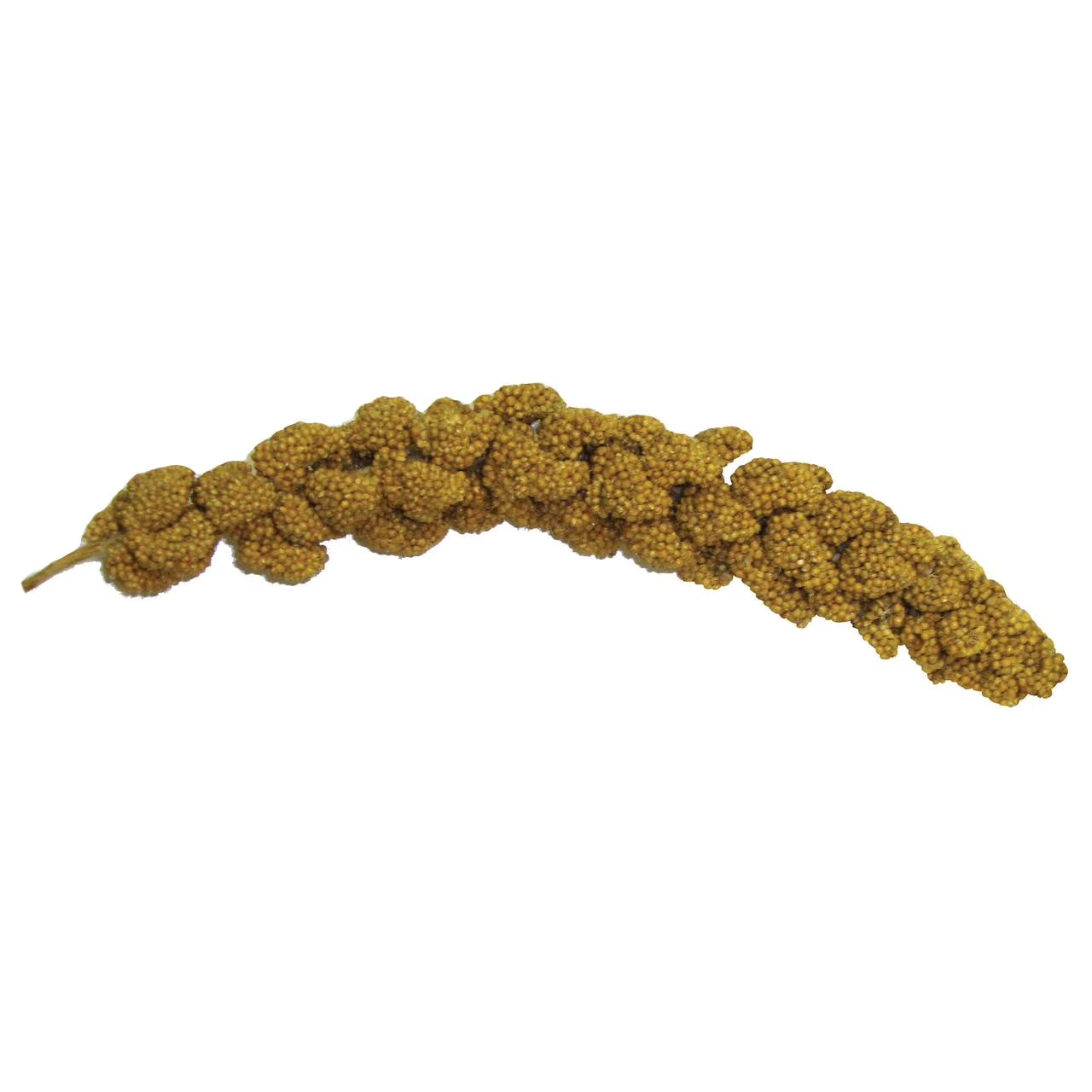 (2 Pack)  Extreme Natural Millet Spray Bird Treats, 7 Count