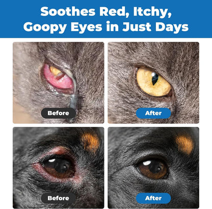 Pet Eye Health for Cats, Dogs, Kittens, Puppies, Horses, Birds,Cattle & Sheep, Daily Eye Care Formula, 3 X 10G Tubes