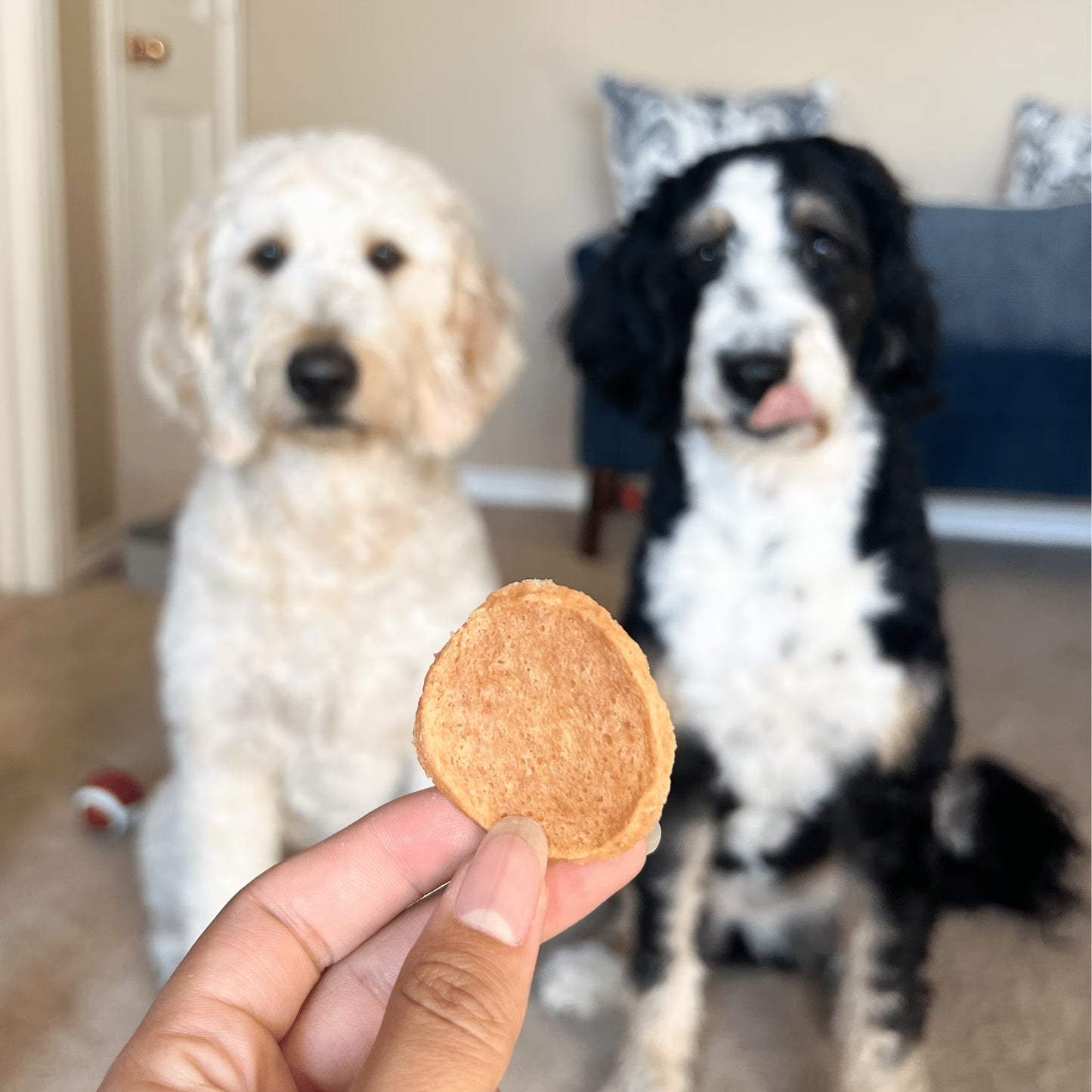 Chicken Chips Crunchy Training Treats for Dogs, 4Oz