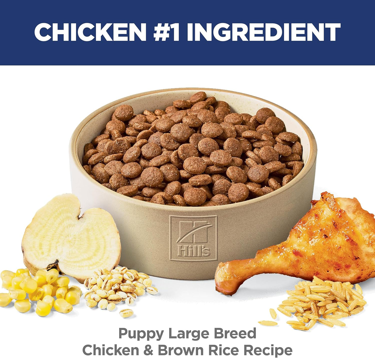 Hill'S Science Diet Puppy Large Breed Dry Dog Food | #1 Veterinarian Recommended, Chicken & Brown Rice, 15.5 Lb. Bag