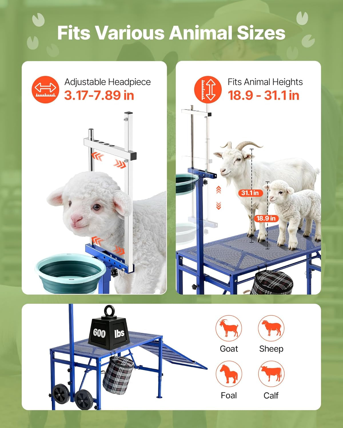 Goat Milking Stand, 600 Lbs Heavy Duty Foldable Goat Stand with Ramp, Feed Bin & Wheels, Adjustable Headpiece & Basket, Stanchion for Grooming & Hoof Trimming, Metal Livestock Platform for Sheep
