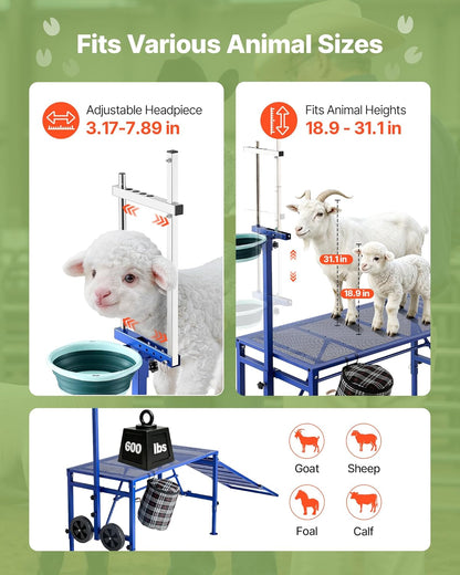 Goat Milking Stand, 600 Lbs Heavy Duty Foldable Goat Stand with Ramp, Feed Bin & Wheels, Adjustable Headpiece & Basket, Stanchion for Grooming & Hoof Trimming, Metal Livestock Platform for Sheep
