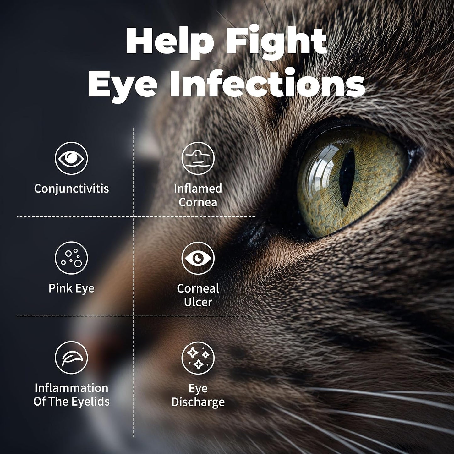 Pet Eye Health for Cats, Dogs, Kittens, Puppies, Horses, Birds,Cattle & Sheep, Daily Eye Care Formula, 3 X 10G Tubes