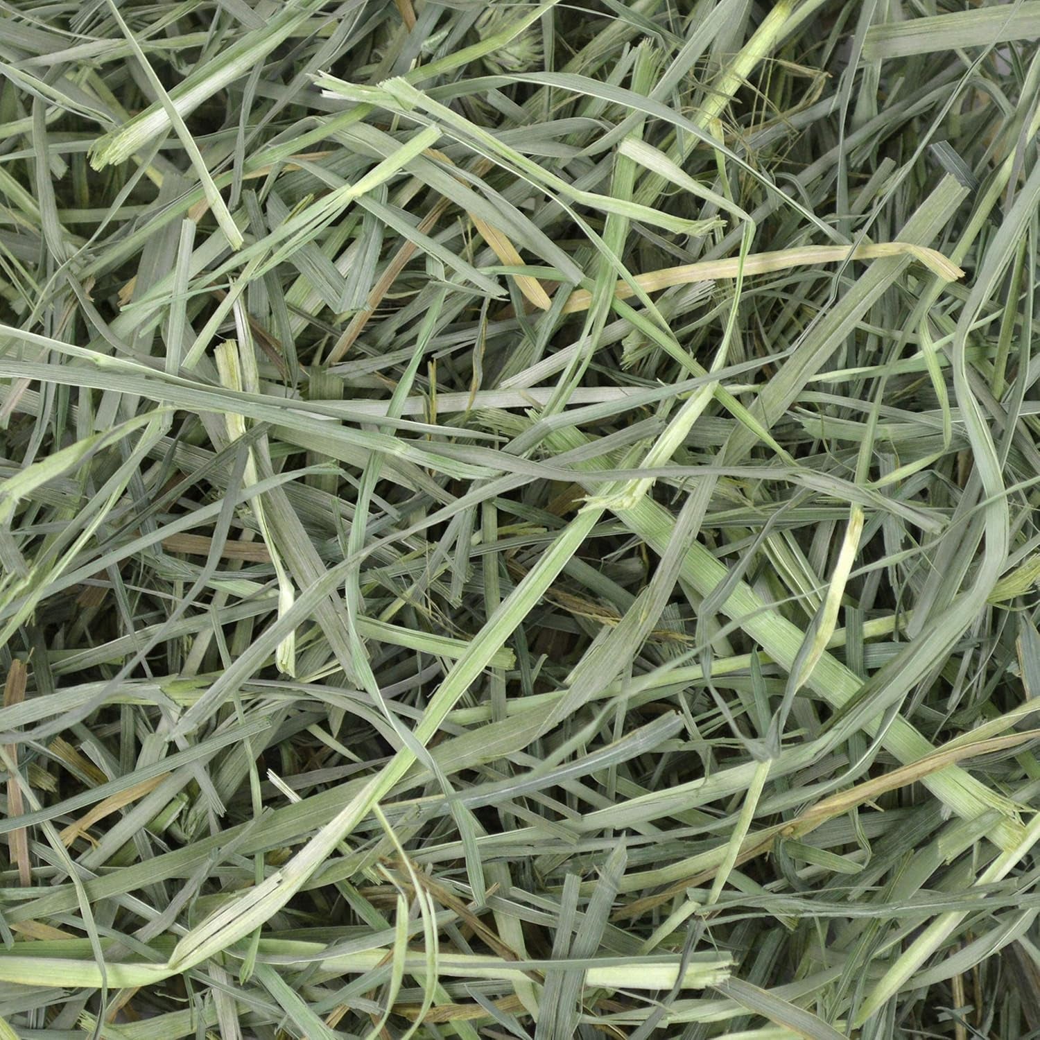 Orchard Hay, Rabbit & Guinea Pig Hay, Hand-Sorted, De-Dusted, 40 Oz | Hand-Sorted, De-Dusted,  Orchard Grass Hay, Bunny Hay for Rabbits, Guinea Pigs, Bunnies and Chinchillas, Made in USA