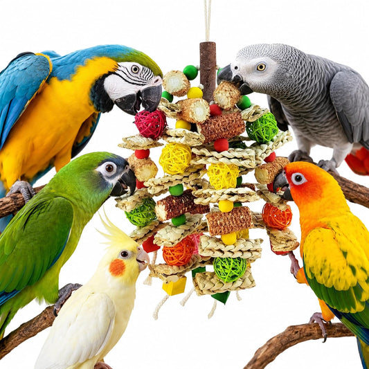 Parrot Chew Toy, Natural Material Bird Foraging Toy for Conures, Quaker Parrots, Medium-Sized Birds - Colorful Hanging Shredding Toy with Woven Ball, Corn Cob and Wooden Beads