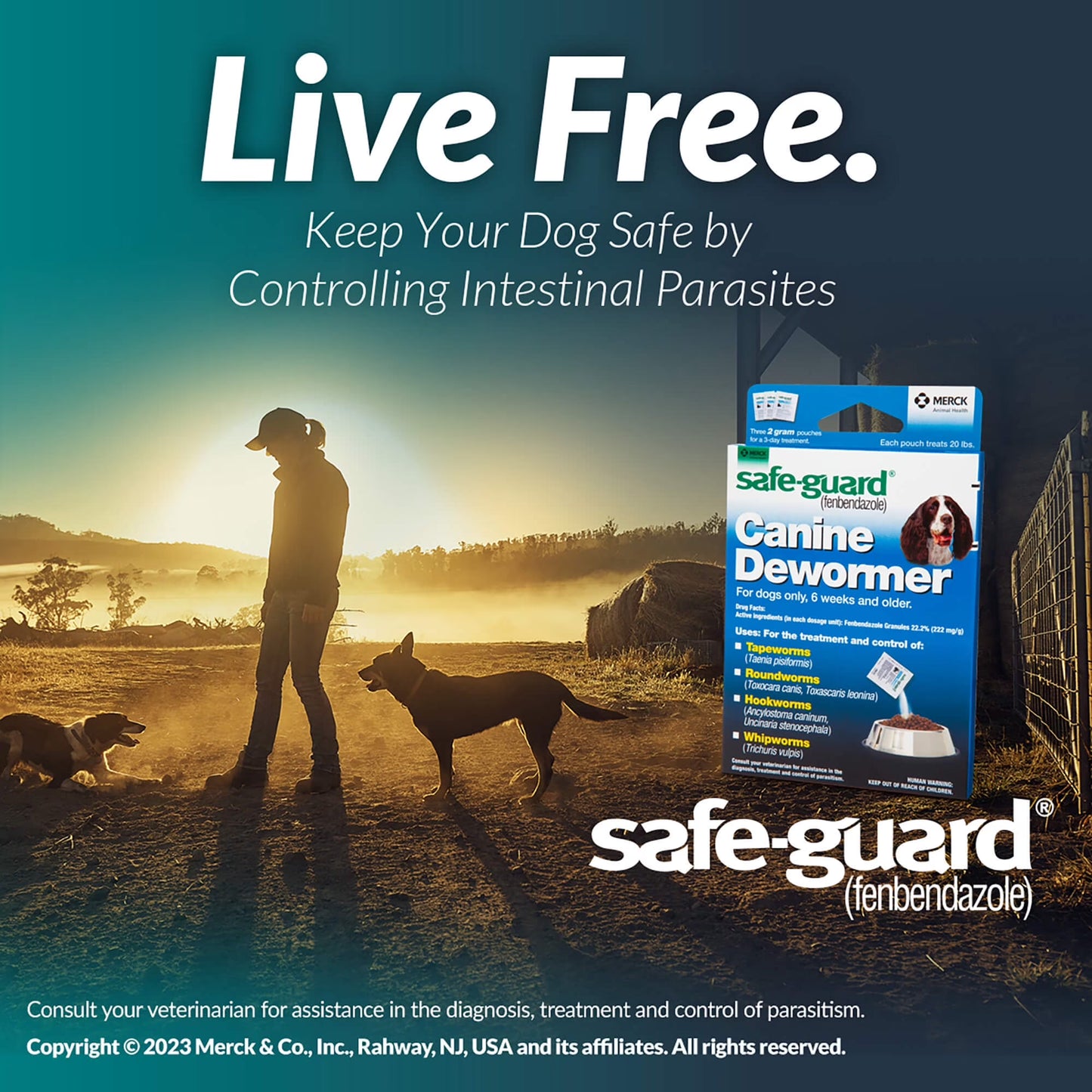Safe-Guard Panacur Wormer (Fenbendazole) K9 Dogs 10 Lbs. 1Gm