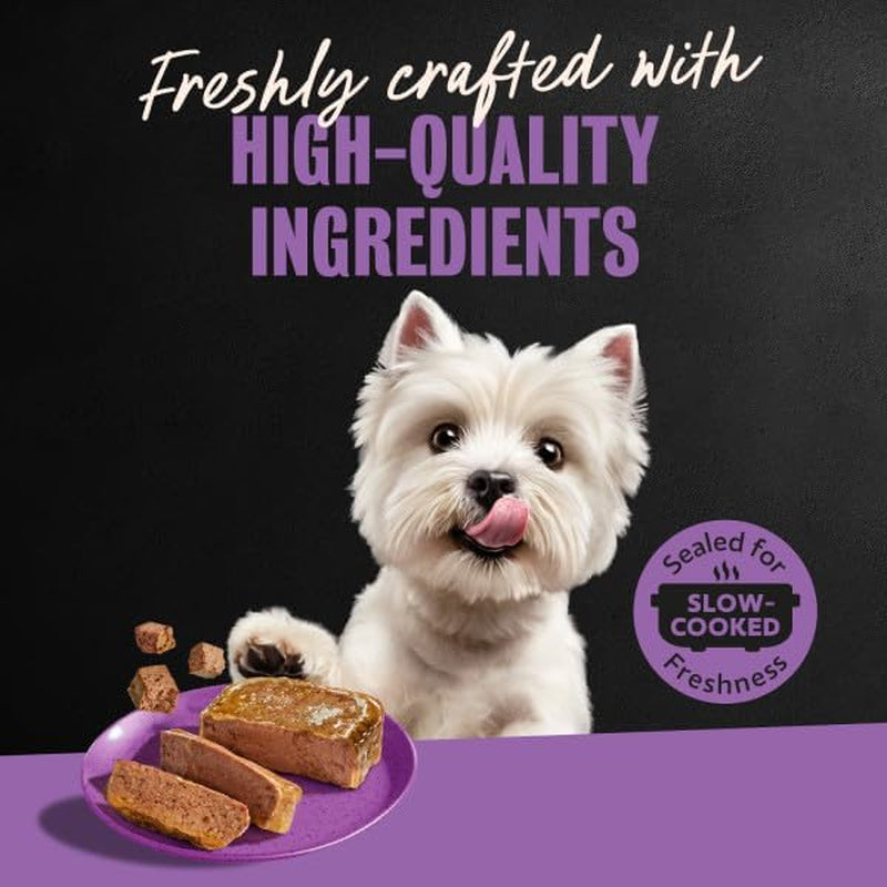 Classic Loaf in Sauce Wet Dog Food, Meaty Selects, 3.5 Oz, 24 Count | Made in USA, Real Beef or Chicken #1 Ingredient, No Fillers or Artificial Flavors, Slow-Cooked, Easy Peel Trays