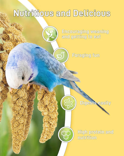 3.3Lbs Millet for Birds, Sun-Dried Parakeet Food for Parrot, Budgie, Cockatiel, Finches, Lovebird, Gmo-Free Parakeet Treats (3 Pack)
