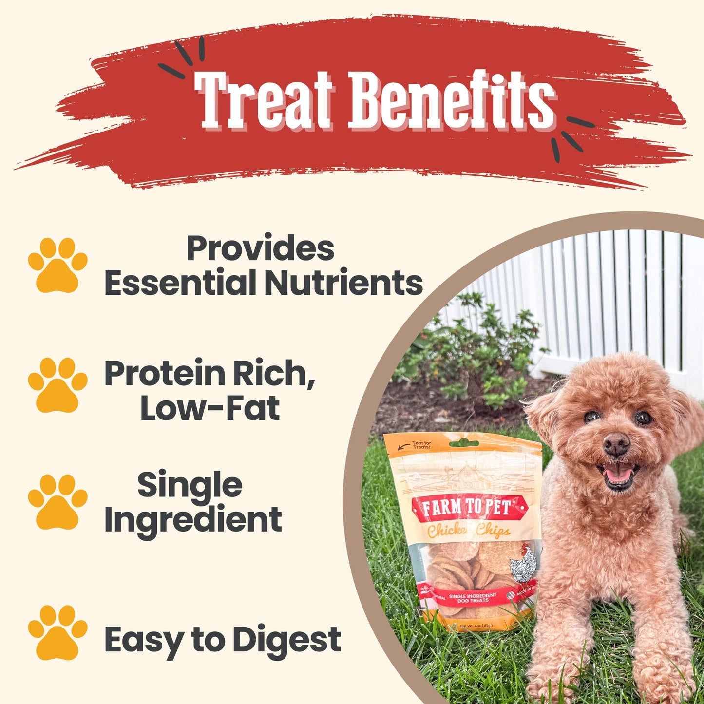 Chicken Chips Crunchy Training Treats for Dogs, 4Oz