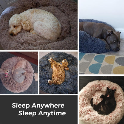 Calming round Dog Bed & Cat Bed for Indoor Cats, Medium Size Washable Anti-Slip Anti-Anxiety Donut Dog Beds for Small Dogs & Cats, Fluffy Plush Soft Dog Bed(20 Inch, Light Grey)