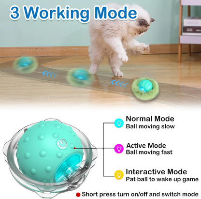 Interactive Cat Toys for Indoor Cats,Automatic Moving Cat Ball in Pouch,Chirping Stimulation,Hide-N-Seek Chase Exercise Game,Motion Activate,Rechargeable Kitten Toys