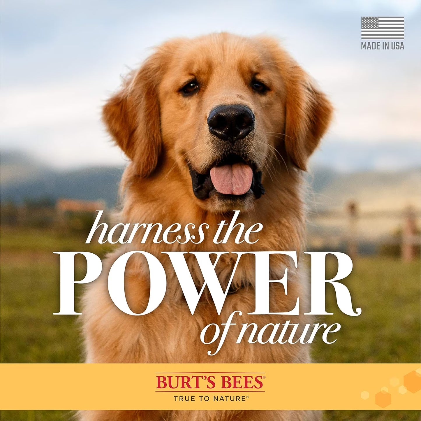 Natural Pet Care for Dogs Tear Stain Remover