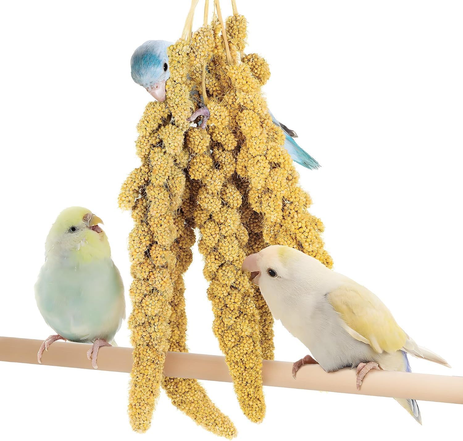 3.3Lbs Millet for Birds, Sun-Dried Parakeet Food for Parrot, Budgie, Cockatiel, Finches, Lovebird, Gmo-Free Parakeet Treats (3 Pack)
