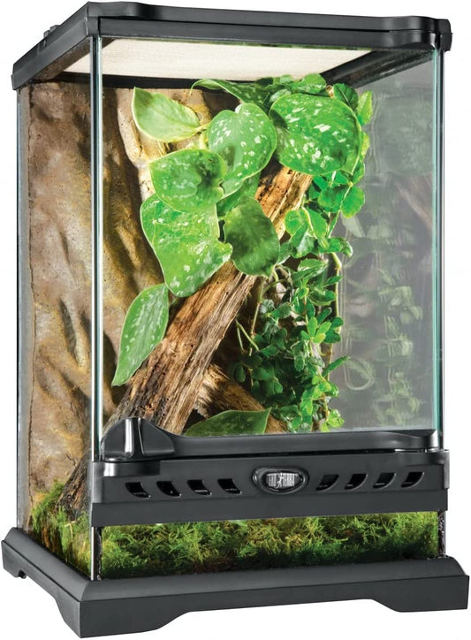 Glass Nano Terrarium Kit, 8 X 8 X 12 Inches | for Reptiles and Amphibians