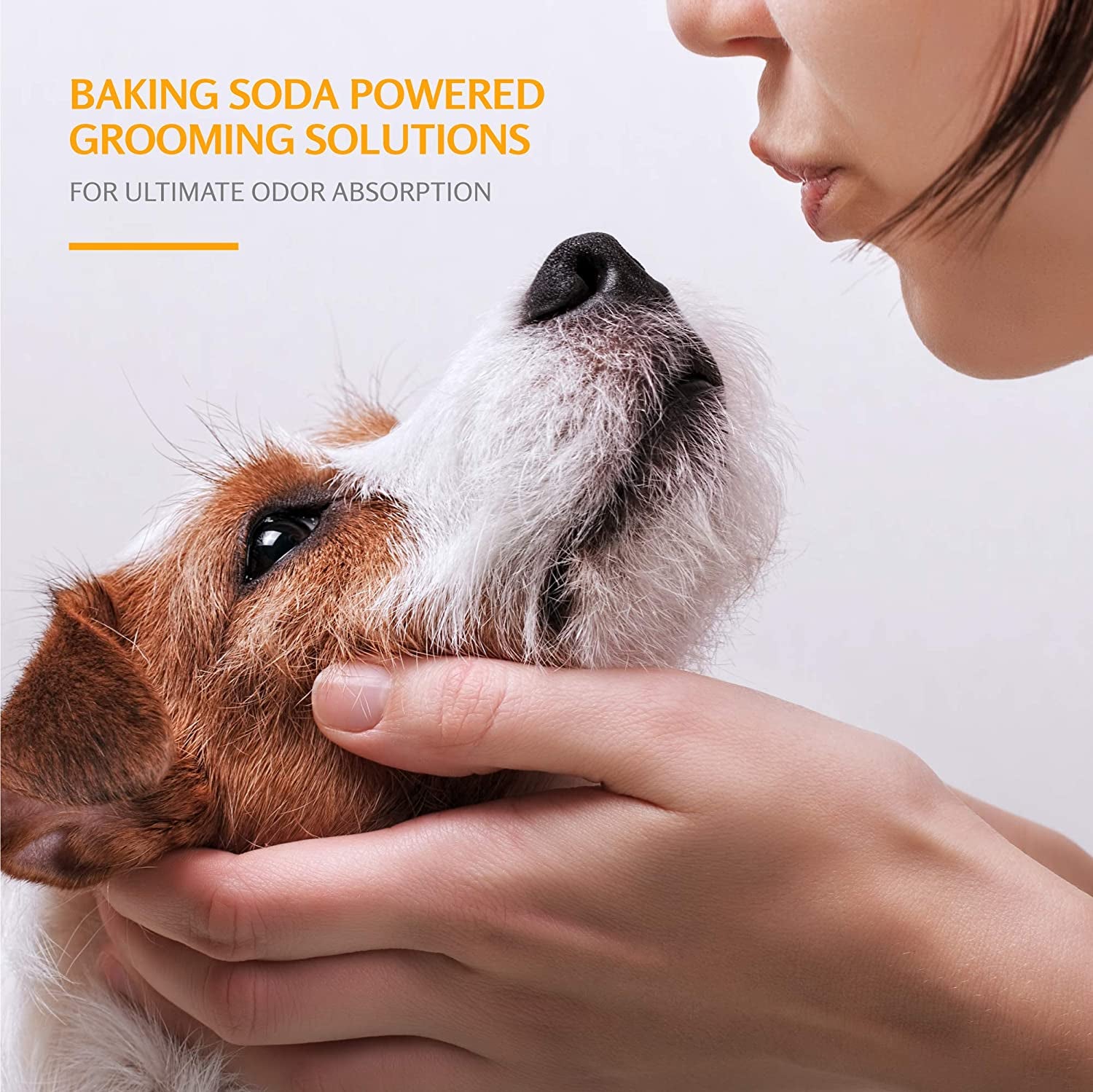 2-In-1 Dog Shampoo and Conditioner, Cucumber Mint, 20 Oz, 6-Pk | Baking Soda Formula, 2-In-1 Shampoo and Conditioner, Cucumber Mint Scent, Odor Eliminating