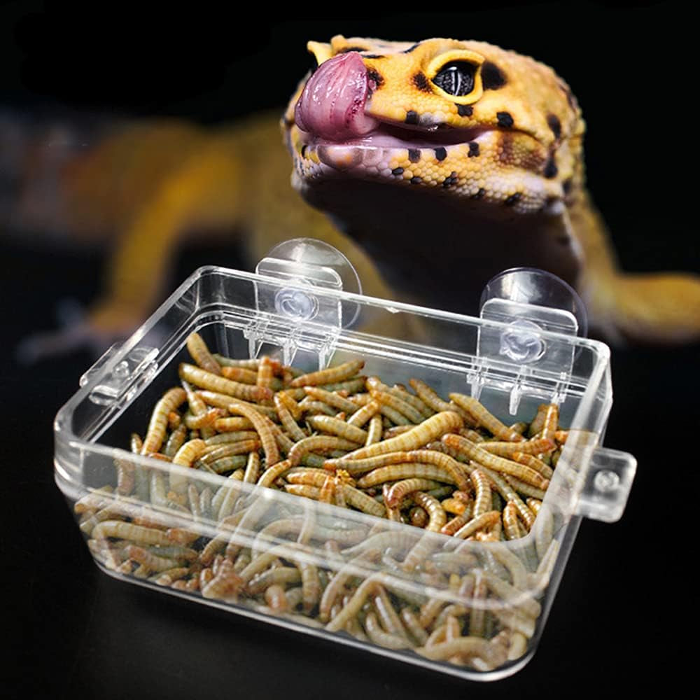 Reptile Suction Cup Feeder 2 Pack, Anti-Escape Food Bowl | for Gecko Lizard Iguana Chameleon Spider Frog Snake, Wall Mount Strong Suction Feeding Dish (White, S)