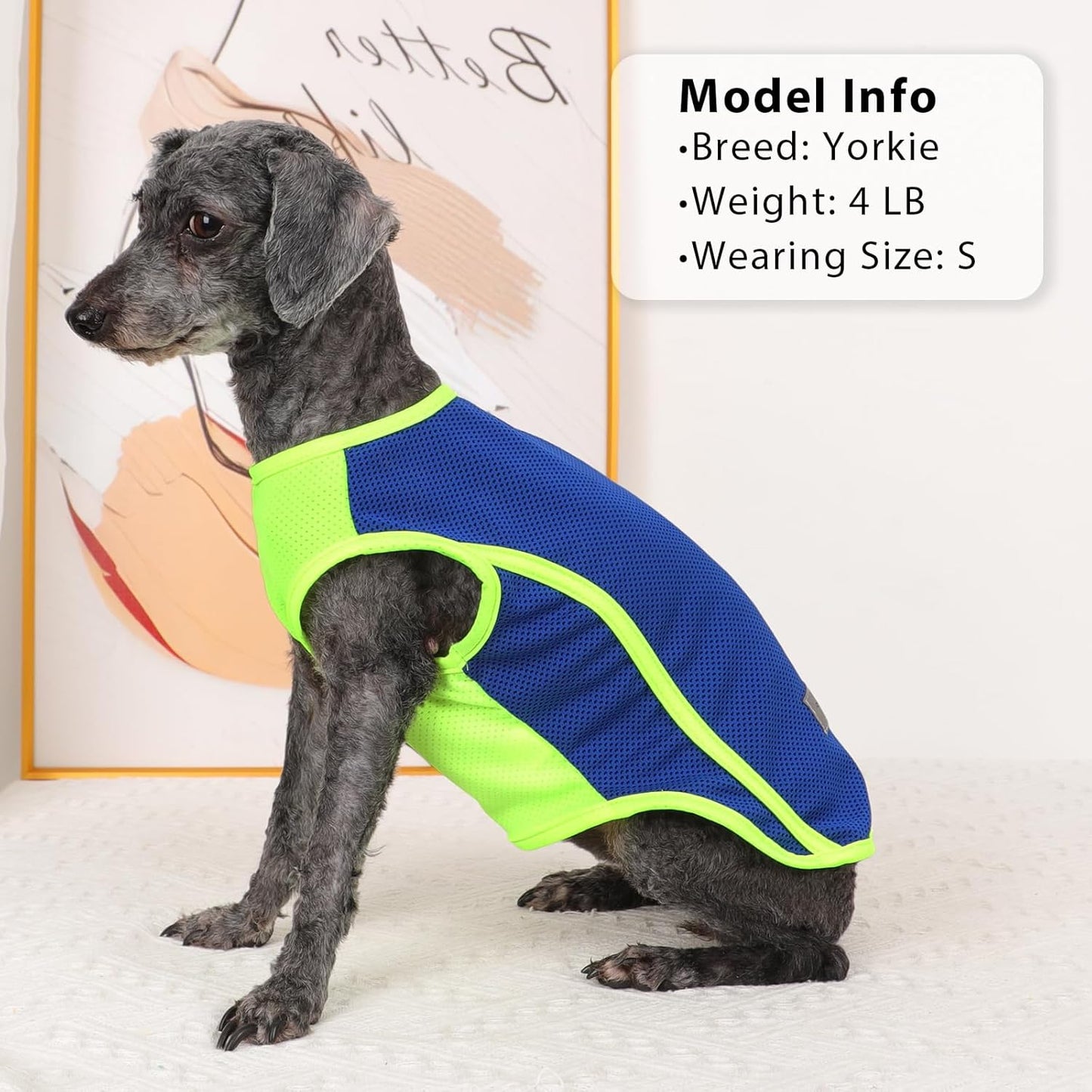 2 Pack Dog Clothes,Dog Shirts for Small Dogs,Quick Dry Dog Vest Boy Girl Summer, Puppy T-Shirt with Reflective Strip,Sun Protection Sleeveless Cool Breathable Pet Apparel(Blue and Turquoise, L)