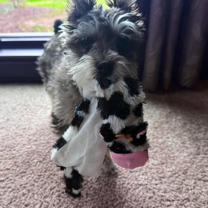 Skinneeez Crinkle Dog Toy, Stuffing-Free Cow Toy with Squeaker for Small Dogs and Puppies,For Moderate Chewers 14 Inch