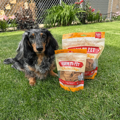 Chicken Chips Crunchy Training Treats for Dogs, 4Oz