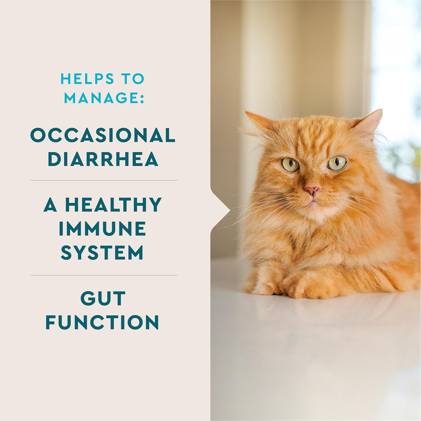 Cat Probiotic Powder, Treats Diarrhea and Food Sensitivity, Chicken Flavored Single-Serve Packets for Indoor/Outdoor Use, 30 Count | Eases Diarrhea & Supports Digestive Health; Single-Serve Chicken Liver Powder; Ideal for Indoor Cats; Daily Gut Support