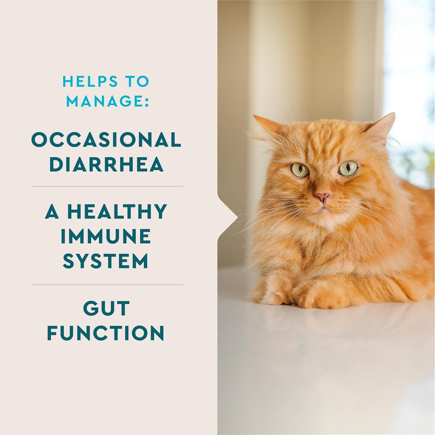 Cat Probiotic Powder, Treats Diarrhea and Food Sensitivity, Chicken Flavored Single-Serve Packets for Indoor/Outdoor Use, 30 Count | Eases Diarrhea & Supports Digestive Health; Single-Serve Chicken Liver Powder; Ideal for Indoor Cats; Daily Gut Support