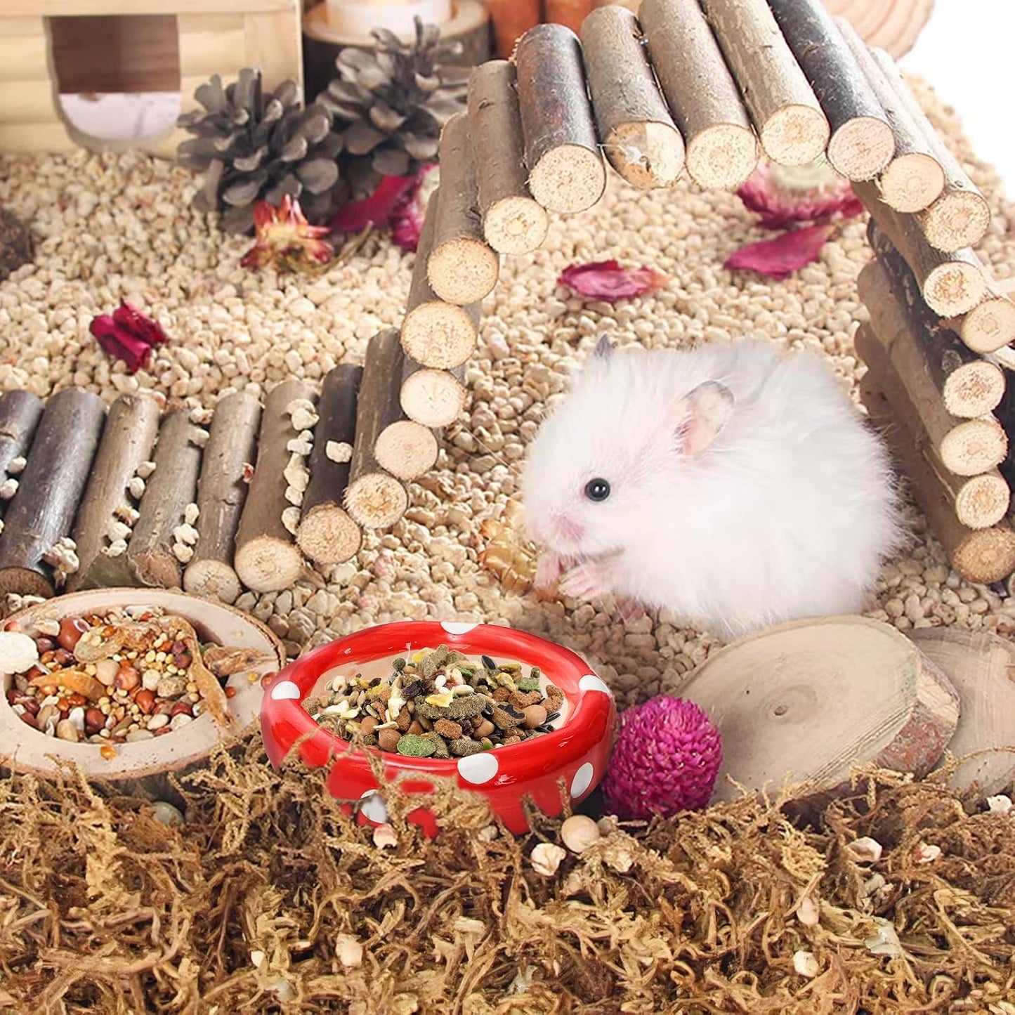 3 Pack Ceramic Hamster Hideout, Mushroom Shape Guinea Pig Food Bowl Cute Water Bottle with Stand, Cool Hamster Bed House Small Animal Cage Accessories for Dwarf Hamsters, Mice, Gerbils