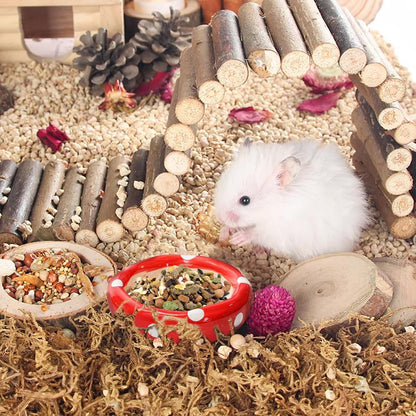 3 Pack Ceramic Hamster Hideout, Mushroom Shape Guinea Pig Food Bowl Cute Water Bottle with Stand, Cool Hamster Bed House Small Animal Cage Accessories for Dwarf Hamsters, Mice, Gerbils