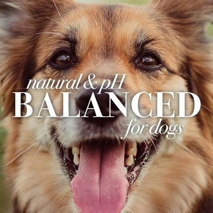 Natural Pet Care for Dogs Tear Stain Remover