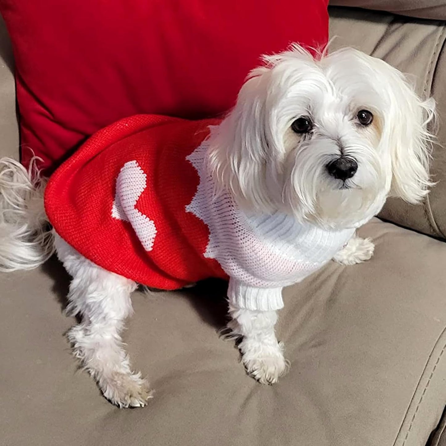 Dog Sweaters Classic Knitwear, Turtleneck Winter Warm Pet Puppy Clothes | Cute Heart Pattern, Lightweight & Warm Knitted Winter Sweater, Cold Weather Coat, Great for Daily Wear, Easy on & Off