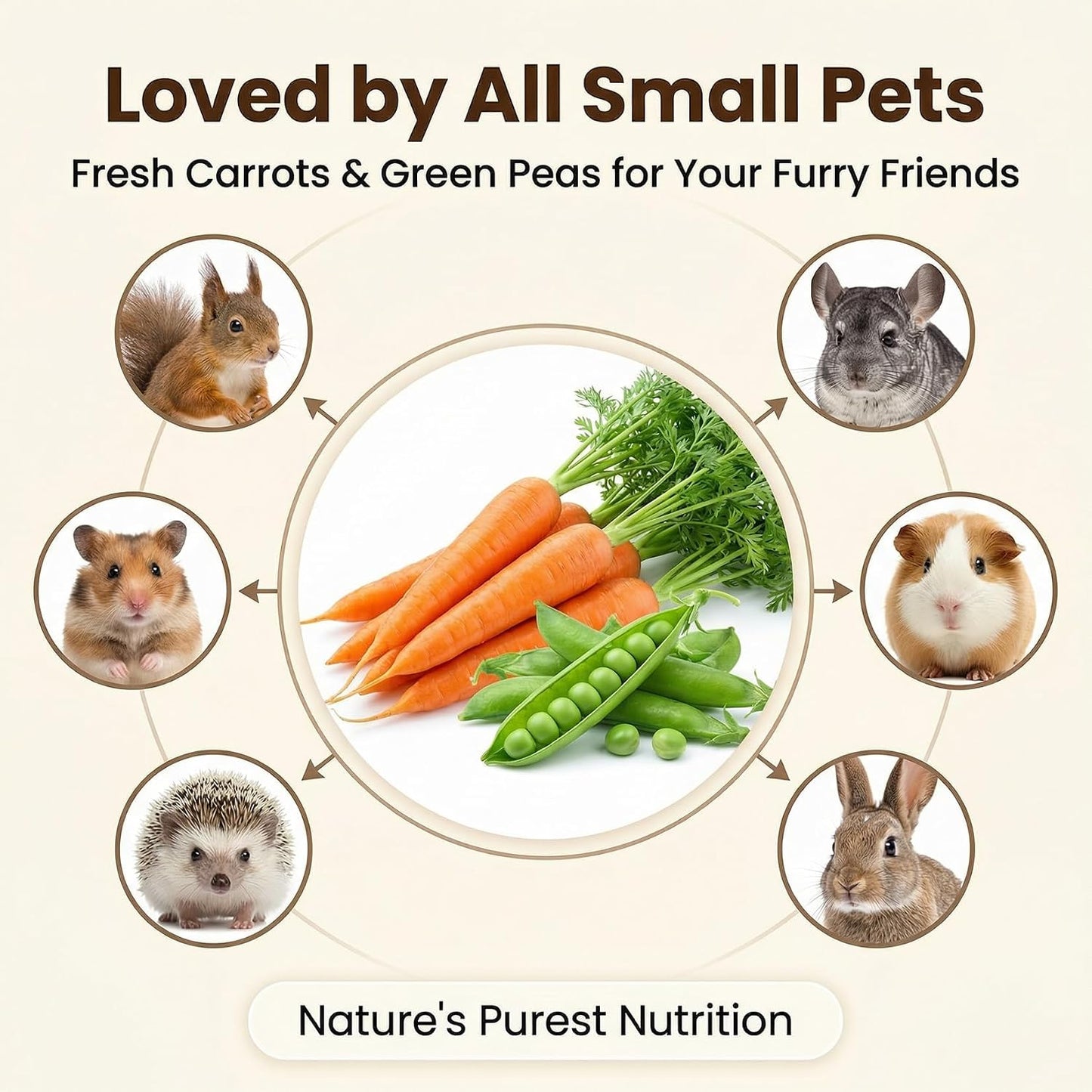 8 Oz Carrots & Pea Flakes - Small Animal Treats for Guinea Pigs | Dried Peas and Carrots Blend Bunny Rabbit Treats, Crunchy Vegetable Treat for Chinchilla Hamster Gerbil & Small Pets