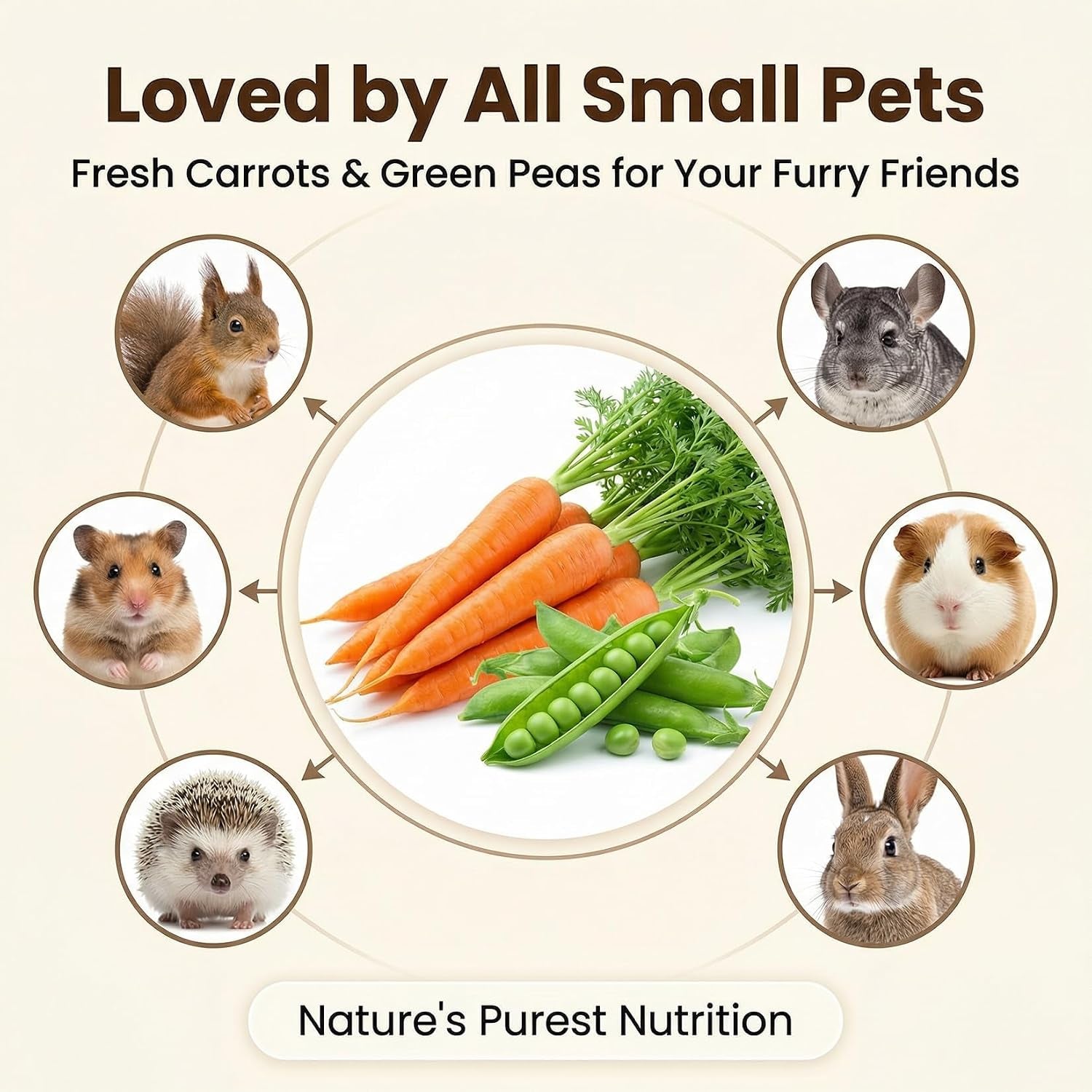 8 Oz Carrots & Pea Flakes - Small Animal Treats for Guinea Pigs | Dried Peas and Carrots Blend Bunny Rabbit Treats, Crunchy Vegetable Treat for Chinchilla Hamster Gerbil & Small Pets