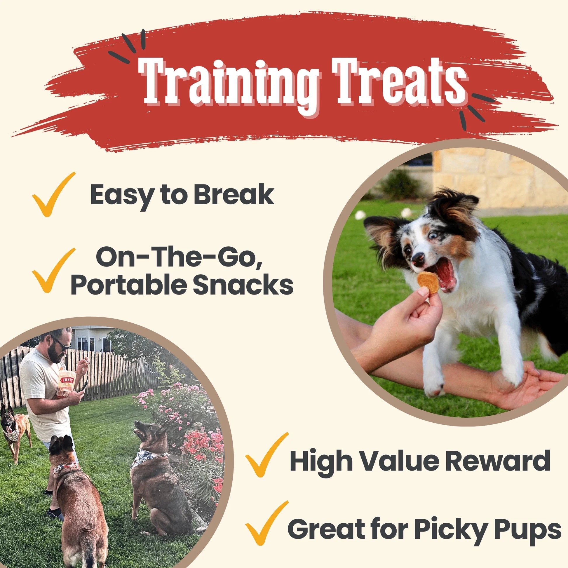 Chicken Chips Crunchy Training Treats for Dogs, 4Oz