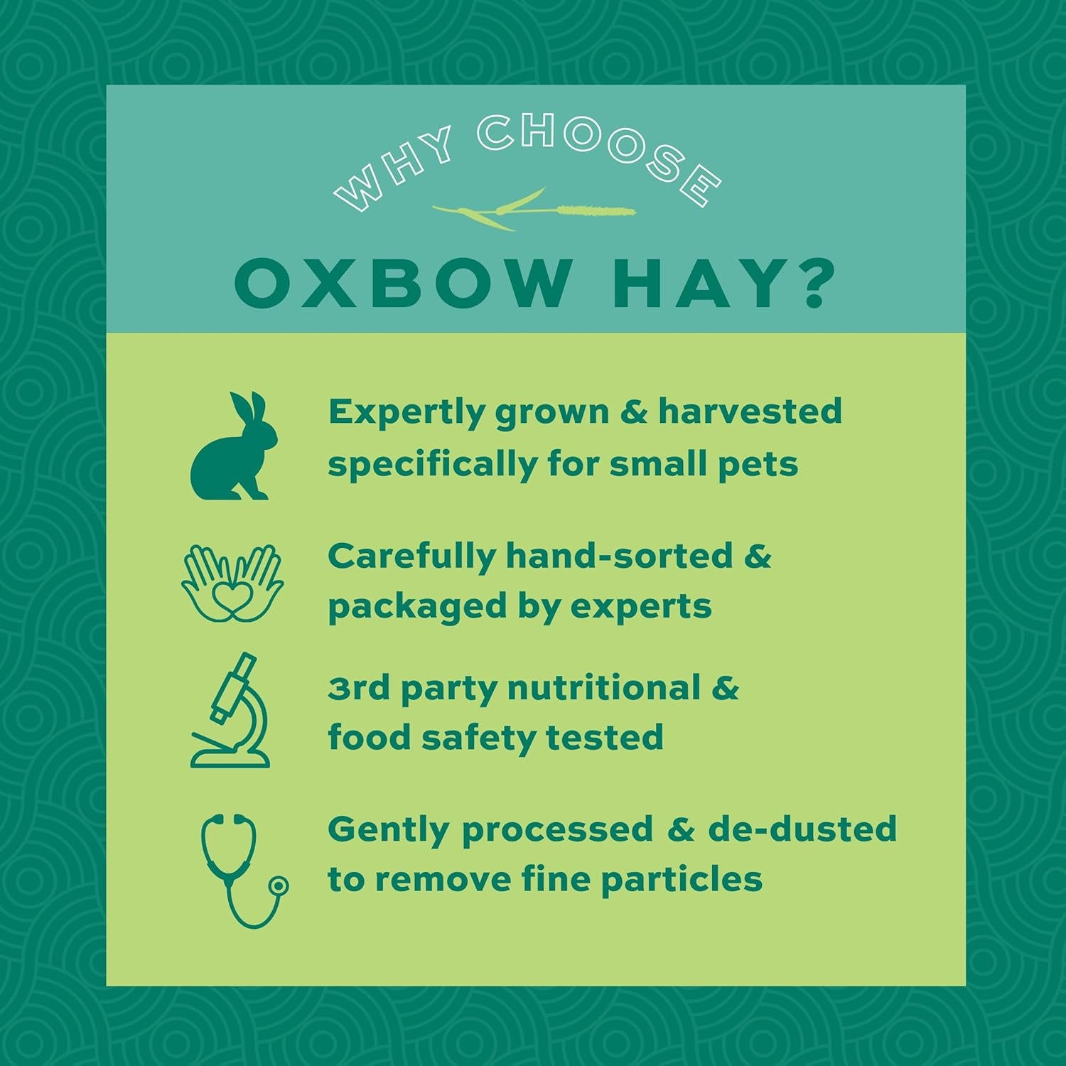 Orchard Hay, Rabbit & Guinea Pig Hay, Hand-Sorted, De-Dusted, 40 Oz | Hand-Sorted, De-Dusted,  Orchard Grass Hay, Bunny Hay for Rabbits, Guinea Pigs, Bunnies and Chinchillas, Made in USA