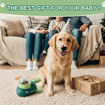 Interactive Dog Toys & Cat Toys for Indoor Cats, Dog Puzzle Toy Slow Feeder Bowl, Puppy Enrichment Toys, Interactive Cat Toys, Dog Feeder Puzzle Toy for Smart Dogs to Keep Them Busy