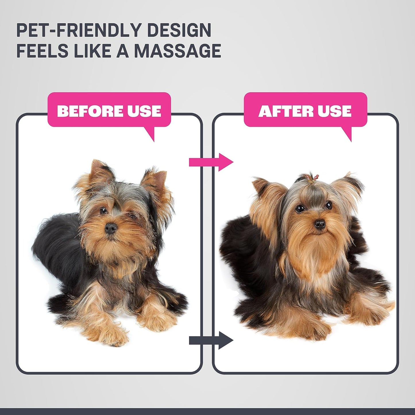 Dog Grooming Kit, Dog Clipper for Grooming, Dog Nail Grinder and Pet Hair Dryer (Battery & Charger Included