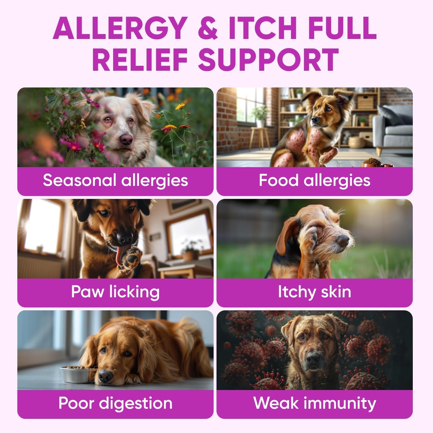 Dog Allergy Relief Chews for Itchy Skin - Seasonal and Food Allergy Chews for Shedding, Licking Paws, Hot Spot, Ears - USA Product - Omega 3 Fish Oil Skin & Coat Supplement - anti Itch Immune Treats